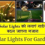 Solar Lights For Garden: