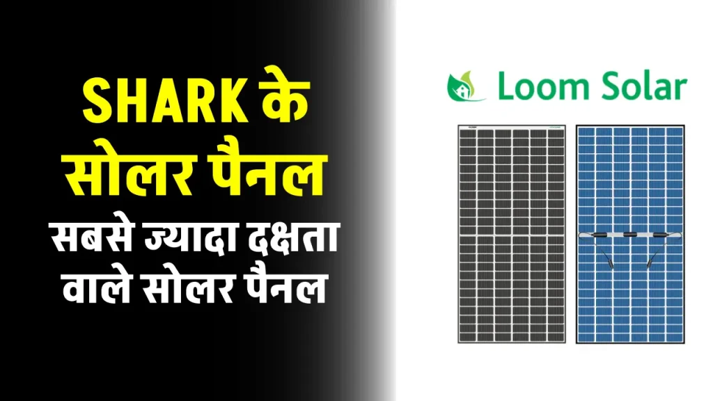 Shark सीरीज के पावरफुल Solar Panel, क्या है? यहाँ जानें पूरी जानकारी 