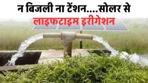 Solar Water Pump लगाएं, बिजली की टेंशन खत्म