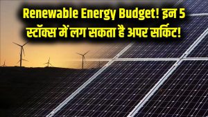 Budget Impact: बजट में रिन्यूएबल एनर्जी के लिए खुला सरकारी खजाना, इन 5 शेयरों में लग सकता है अपर सर्किट!